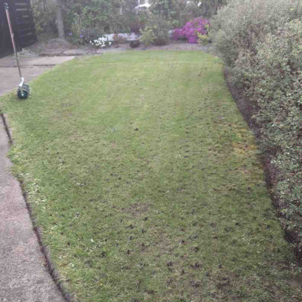Rolling Aerator | Grass Aerator Roller | Aeration Roller For Lawn: image 9