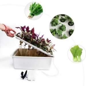 dwc system for sale