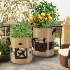 best growing potatoes planting pot