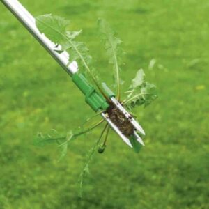 stand up weed puller tool