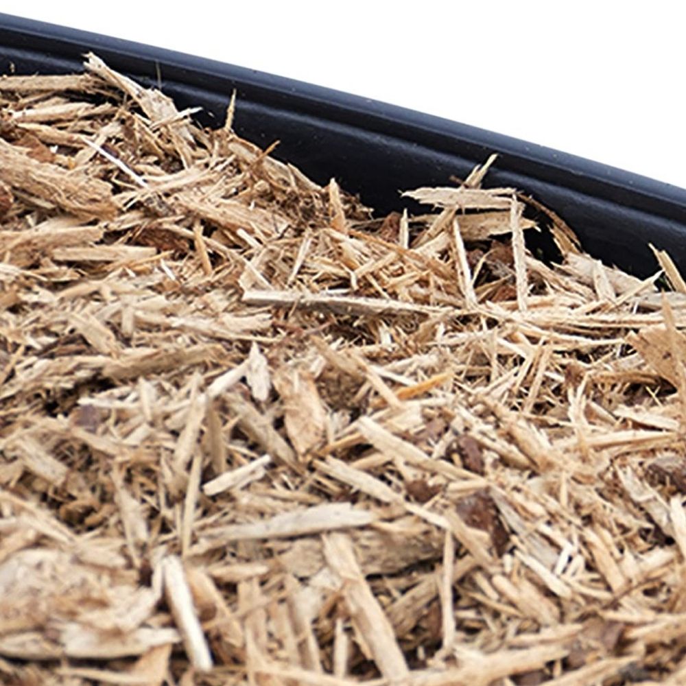 plastic lawn edge shop online