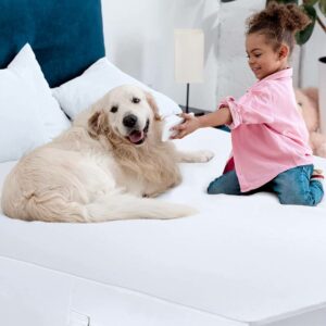 buy waterproof bed mattress encasement