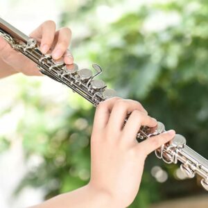 Instrument Flute | Flute Musical Instrument | Beginner Flute
